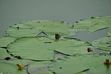 不可思议的42％！AMD RX 6000全系跳崖式大降价